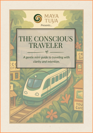 the conscious traveler
