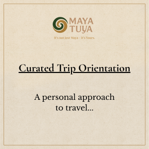 curated trip orientation